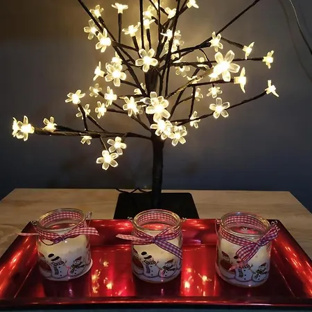 7 Days Premium * Subotica