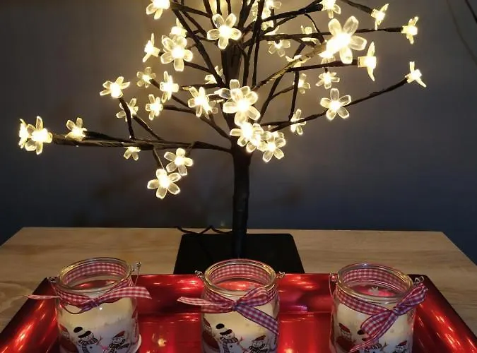 7 Days Premium * Subotica